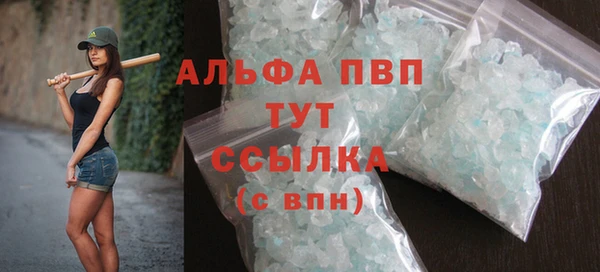 индика Алексин