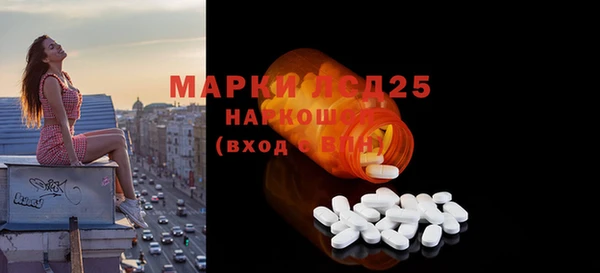 индика Алексин