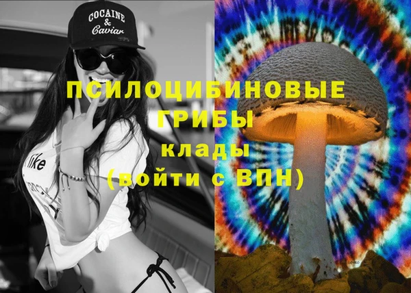 спиды Алексеевка
