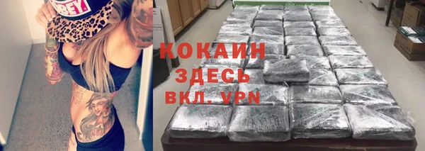 индика Алексин