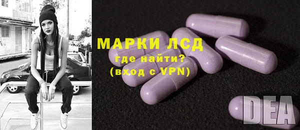 индика Алексин
