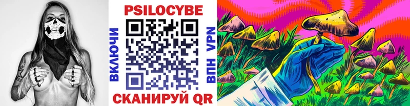 Галлюциногенные грибы Magic Shrooms  Находка 