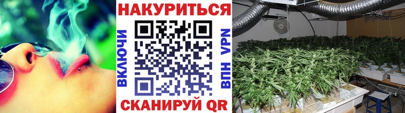 МАРИХУАНА SATIVA & INDICA  Находка 